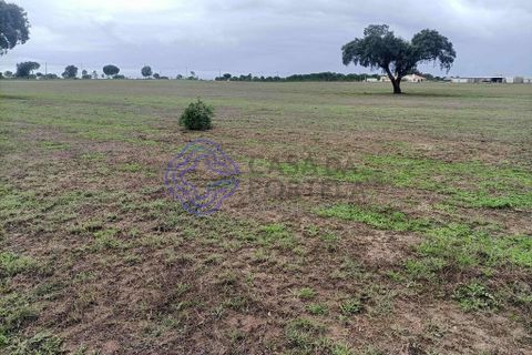Helårsgrund i Montijo, Setubal, Montijo - € 995.000 | Ref: 1122781 - foto 16