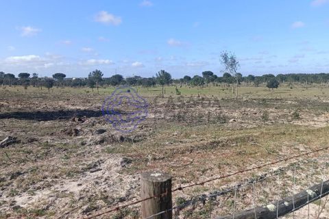 Helårsgrund i Montijo, Setubal, Montijo - € 995.000 | Ref: 1122781 - foto 18