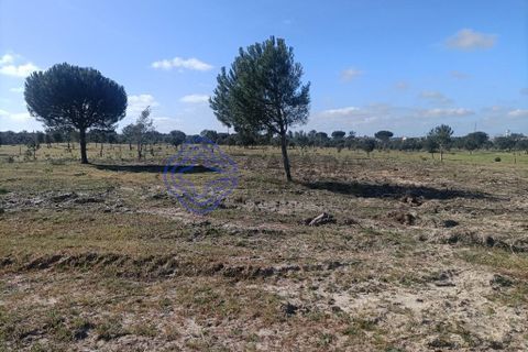 Helårsgrund i Montijo, Setubal, Montijo - € 995.000 | Ref: 1122781 - foto 19