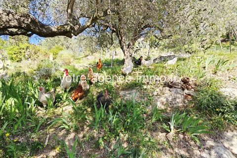 Helårsgrund i Aspremont, Alpes-Maritimes, Aspremont - € 320.000 | Ref: 86922901 - foto 5