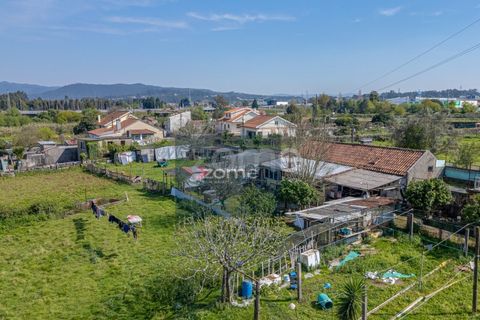Farm i Darque, Viana do Castelo, Darque - € 250.000 | Ref: ZMPT587625 - foto 1