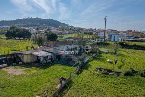 Farm i Darque, Viana do Castelo, Darque - € 250.000 | Ref: ZMPT587625 - foto 2