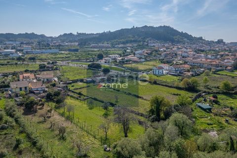 Farm i Darque, Viana do Castelo, Darque - € 250.000 | Ref: ZMPT587625 - foto 5