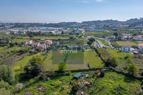 Farm i Darque, Viana do Castelo, Darque - € 250.000 | Ref: ZMPT587625 - foto 6