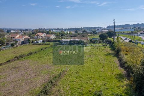 Farm i Darque, Viana do Castelo, Darque - € 250.000 | Ref: ZMPT587625 - foto 13