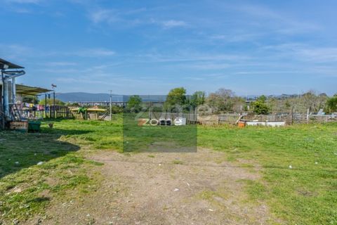 Farm i Darque, Viana do Castelo, Darque - € 250.000 | Ref: ZMPT587625 - foto 14