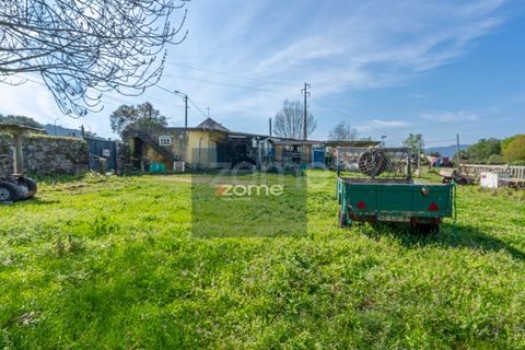 Farm i Darque, Viana do Castelo, Darque - € 250.000 | Ref: ZMPT587625 - foto 15