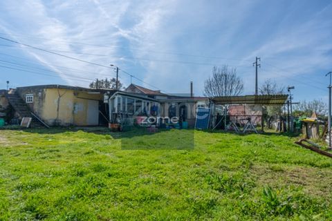 Farm i Darque, Viana do Castelo, Darque - € 250.000 | Ref: ZMPT587625 - foto 16