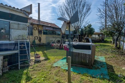 Farm i Darque, Viana do Castelo, Darque - € 250.000 | Ref: ZMPT587625 - foto 17