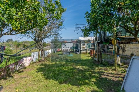 Farm i Darque, Viana do Castelo, Darque - € 250.000 | Ref: ZMPT587625 - foto 18