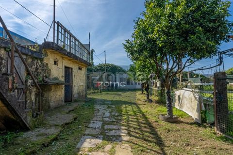 Farm i Darque, Viana do Castelo, Darque - € 250.000 | Ref: ZMPT587625 - foto 19