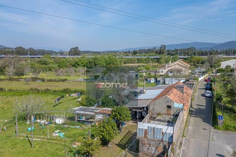 Farm i Darque, Viana do Castelo, Darque - € 250.000 | Ref: ZMPT587625 - foto 27