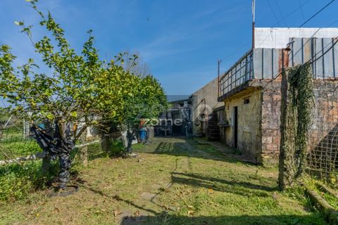 Farm i Darque, Viana do Castelo, Darque - € 250.000 | Ref: ZMPT587625 - foto 30