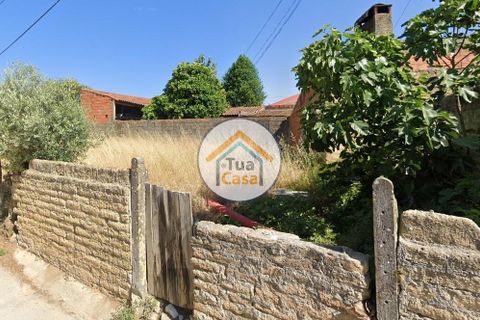 Helårsgrund i Cantanhede, Coimbra, Cantanhede - € 50.000 | Ref: 1TC2925 - foto 3