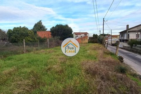 Helårsgrund i Cantanhede, Coimbra, Cantanhede - € 50.000 | Ref: 1TC2925 - foto 9