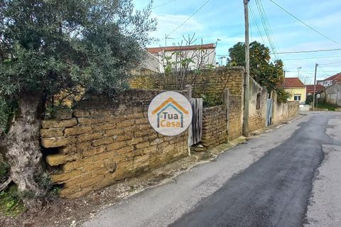 Helårsgrund i Cantanhede, Coimbra, Cantanhede - € 50.000 | Ref: 1TC2925 - foto 11