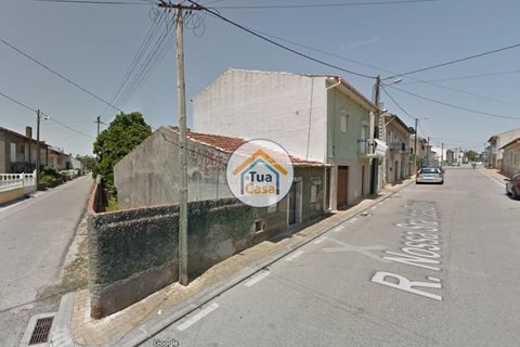 Helårsgrund i Cantanhede, Coimbra, Cantanhede - € 50.000 | Ref: 1TC2925 - foto 15
