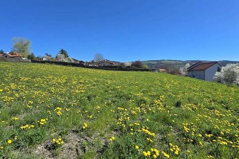 Helårsgrund i Polignac, Haute-Loire, Polignac - € 255.000 | Ref: 1292MX2664 - foto 11