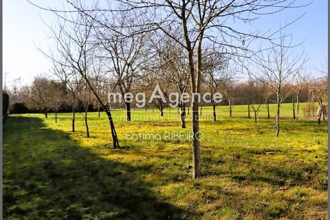 Terra a Esternay, Marne, Esternay - € 59.000 | Ref: 201889 - foto 3