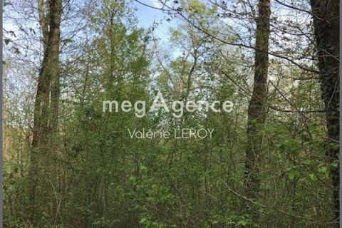 Terra a Aillas, Gironde, Aillas - € 34.000 | Ref: 202227 - foto 2