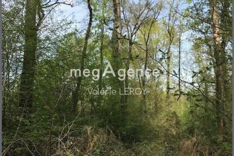 Terra a Aillas, Gironde, Aillas - € 34.000 | Ref: 202227 - foto 3