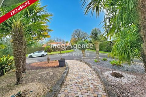Villa i Cholet, Maine-et-Loire, Cholet - € 275.000 | Ref: 201308 - foto 15