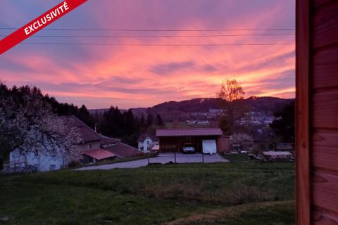 Villa i Lépanges-sur-Vologne, Vosges, Lépanges-sur-Vologne - € 160.000 | Ref: 201717 - foto 3