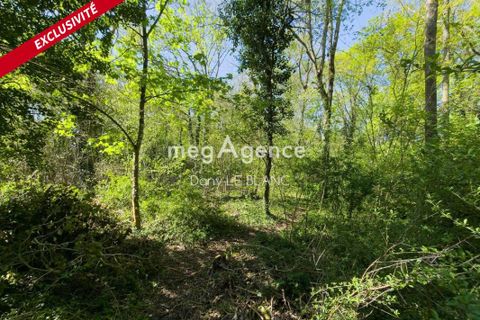 Terra a Leves, Eure-et-Loir, Leves - € 10.000 | Ref: 201561 - foto 2