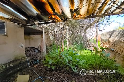 Byhus i Llucmajor, Mallorca, Llucmajor - € 330.000 | Ref: 83451 - foto 11