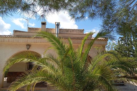 Landejendom i Yecla, Murcia, Yecla - € 299.900 | Ref: IG-2999 - foto 26