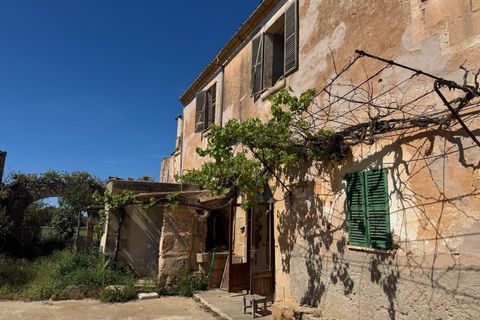 Villa en Campos, Mallorca, Campos - € 1.200.000 | Ref: 0038 - photo 2