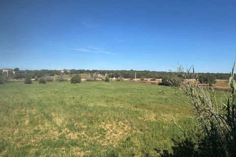 Villa en Campos, Mallorca, Campos - € 1.200.000 | Ref: 0038 - photo 4