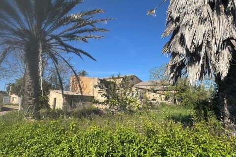 Villa en Campos, Mallorca, Campos - € 1.200.000 | Ref: 0038 - photo 5