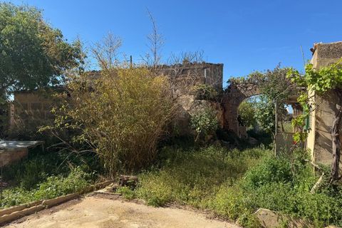 Villa en Campos, Mallorca, Campos - € 1.200.000 | Ref: 0038 - photo 7