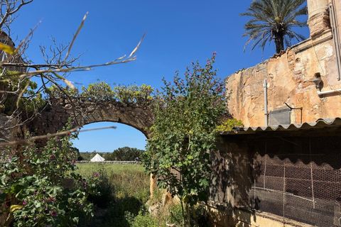 Villa en Campos, Mallorca, Campos - € 1.200.000 | Ref: 0038 - photo 8