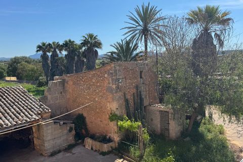 Villa en Campos, Mallorca, Campos - € 1.200.000 | Ref: 0038 - photo 9