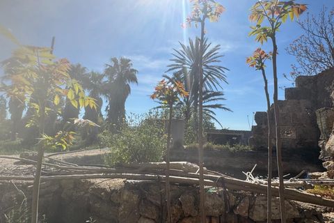 Villa en Campos, Mallorca, Campos - € 1.200.000 | Ref: 0038 - photo 10