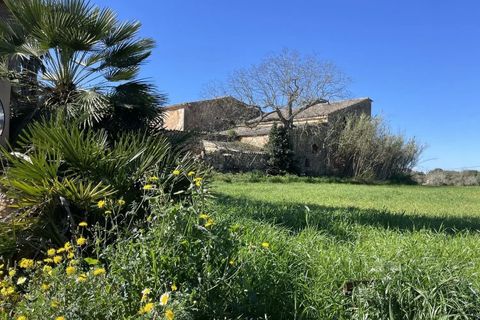 Villa en Campos, Mallorca, Campos - € 1.200.000 | Ref: 0038 - photo 15