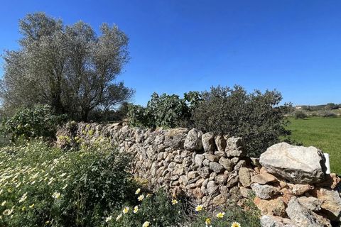 Villa en Campos, Mallorca, Campos - € 1.200.000 | Ref: 0038 - photo 18
