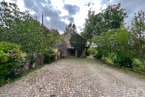 Farm i Castelo Branco, Castelo Branco, Castelo Branco - € 470.000 | Ref: 872671 - foto 2