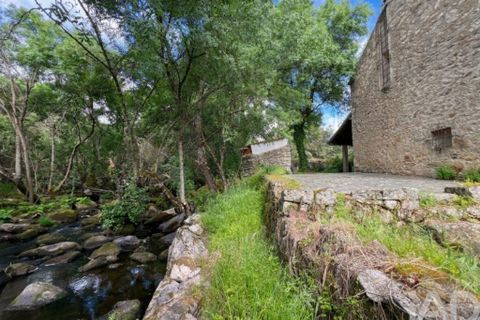 Farm i Castelo Branco, Castelo Branco, Castelo Branco - € 470.000 | Ref: 872671 - foto 5