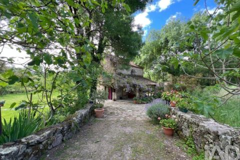 Farm i Castelo Branco, Castelo Branco, Castelo Branco - € 470.000 | Ref: 872671 - foto 6