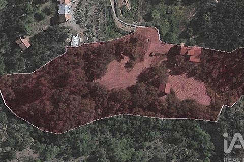 Farm i Castelo Branco, Castelo Branco, Castelo Branco - € 470.000 | Ref: 872671 - foto 38