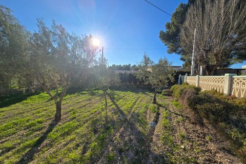 Villa i Sax, Alicante, Sax - € 225.000 | Ref: IVDB13863 - foto 24
