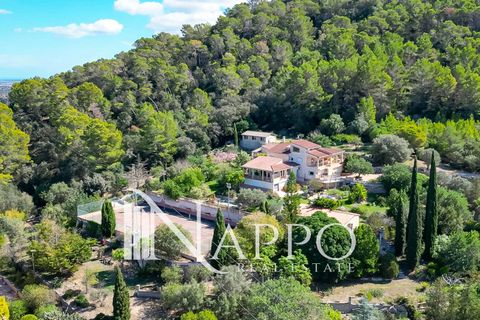 Villa i Inca, Mallorca, Inca - € 1.800.000 | Ref: 4149 - foto 29