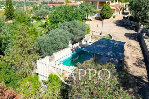 Villa i Inca, Mallorca, Inca - € 1.800.000 | Ref: 4149 - foto 31