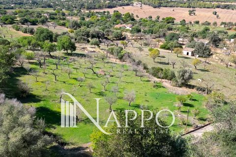 Villa i Inca, Mallorca, Inca - € 1.800.000 | Ref: 4149 - foto 32