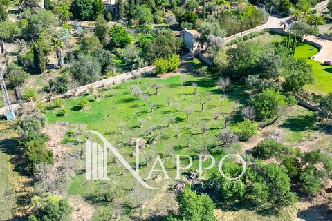 Villa i Inca, Mallorca, Inca - € 1.800.000 | Ref: 4149 - foto 33