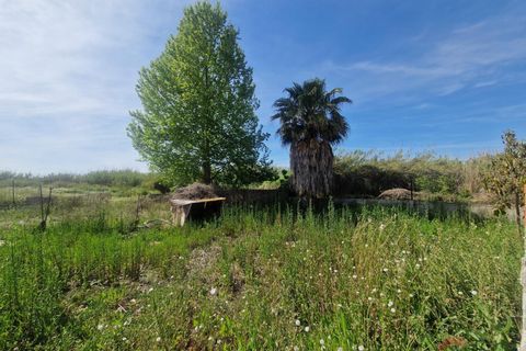 Villa a Motril, Granada, Motril - € 438.000 | Ref: LG832 - foto 13