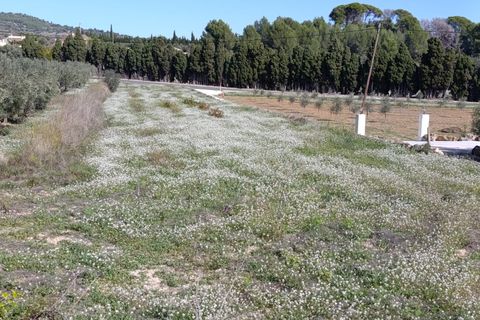 Helårsgrund i Benissa, Alicante, Benissa - € 137.000 | Ref: P209 - foto 7